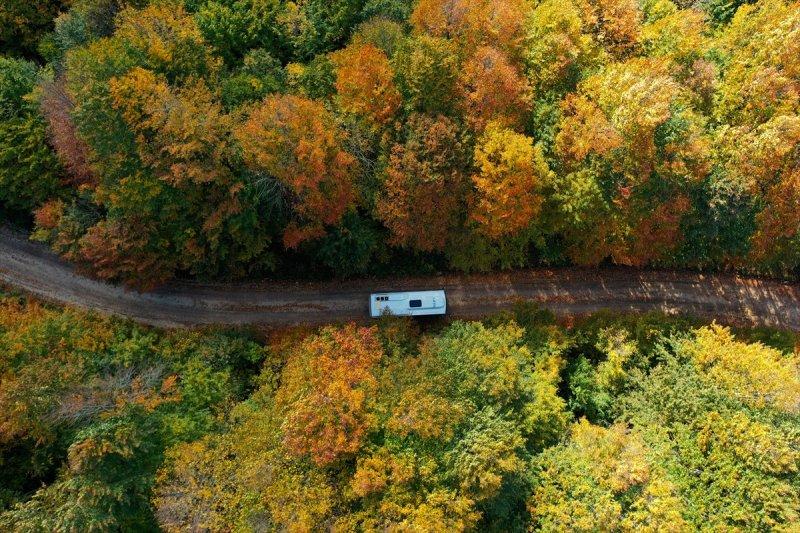 Kocaeli'de sonbahar renkleri