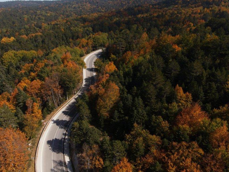 Uludağ'da güz güzelliği