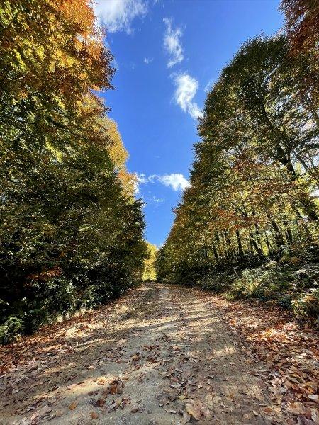 Kocaeli'de sonbahar renkleri