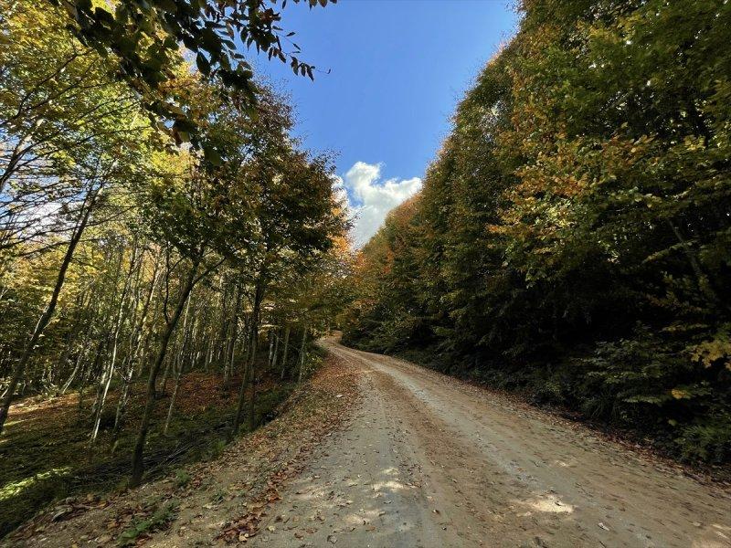 Kocaeli'de sonbahar renkleri