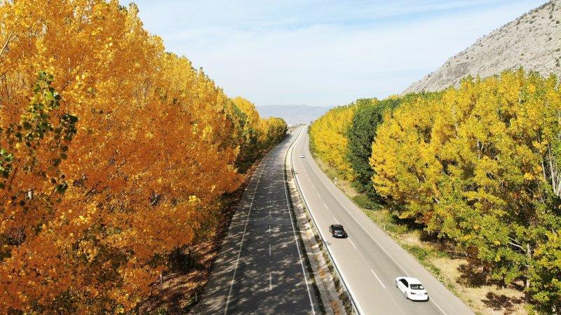 Uludağ'da güz güzelliği