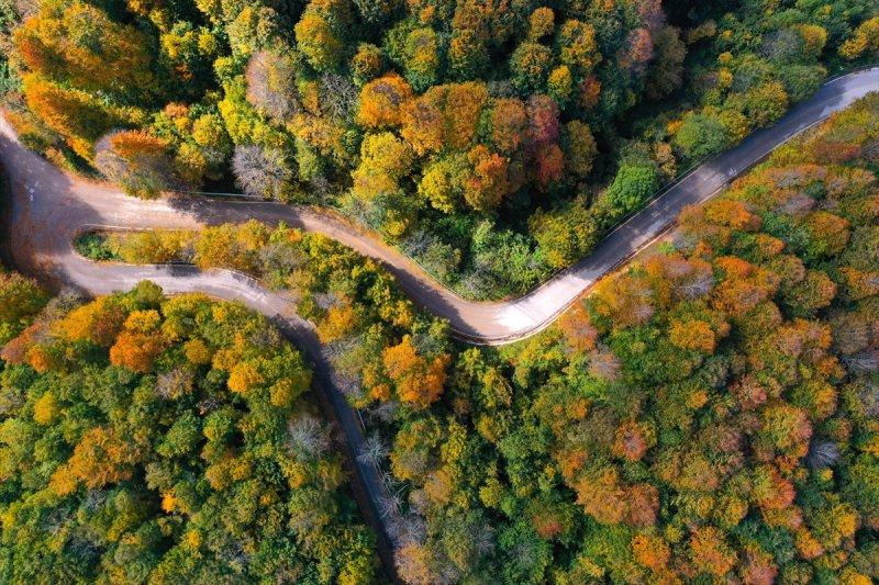 Kocaeli'de sonbahar renkleri