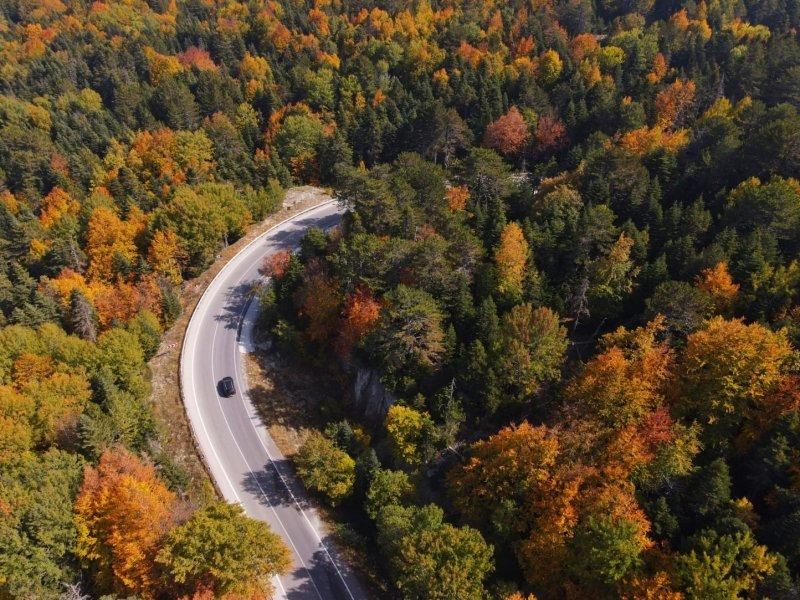 Uludağ'da güz güzelliği