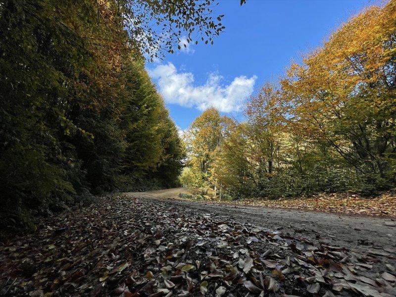 Kocaeli'de sonbahar renkleri