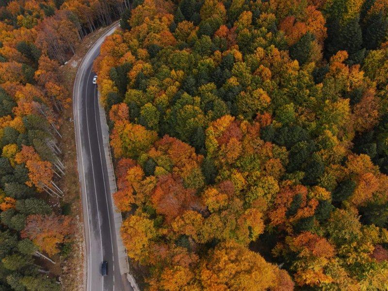 Uludağ'da güz güzelliği