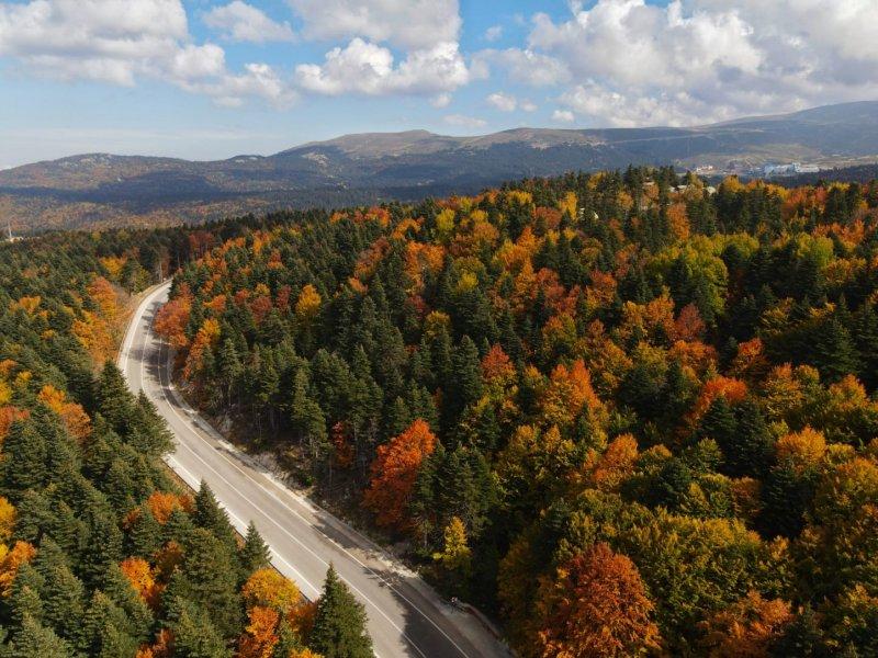 Uludağ'da güz güzelliği