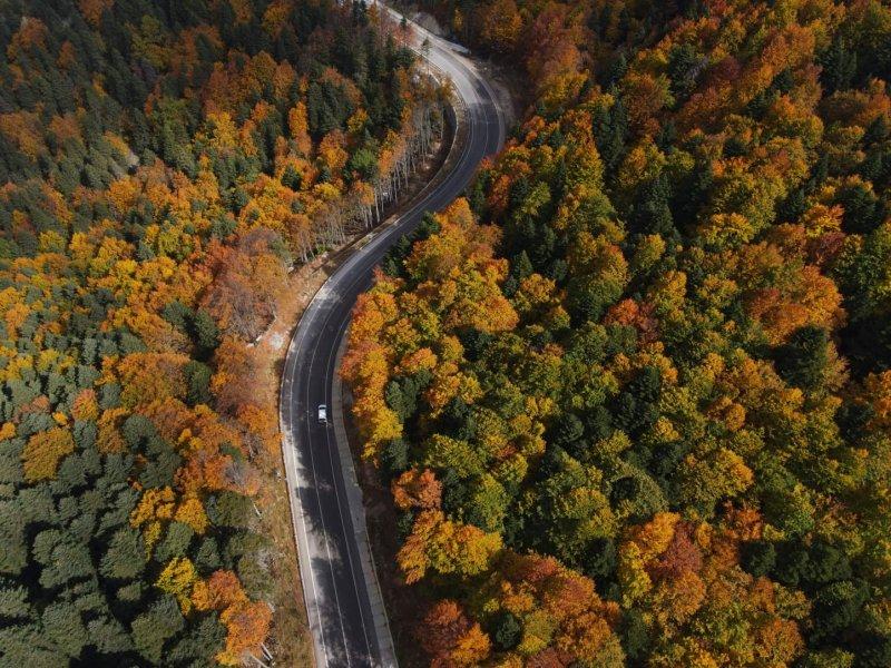 Uludağ'da güz güzelliği