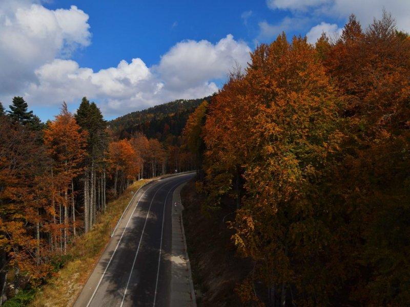 Uludağ'da güz güzelliği