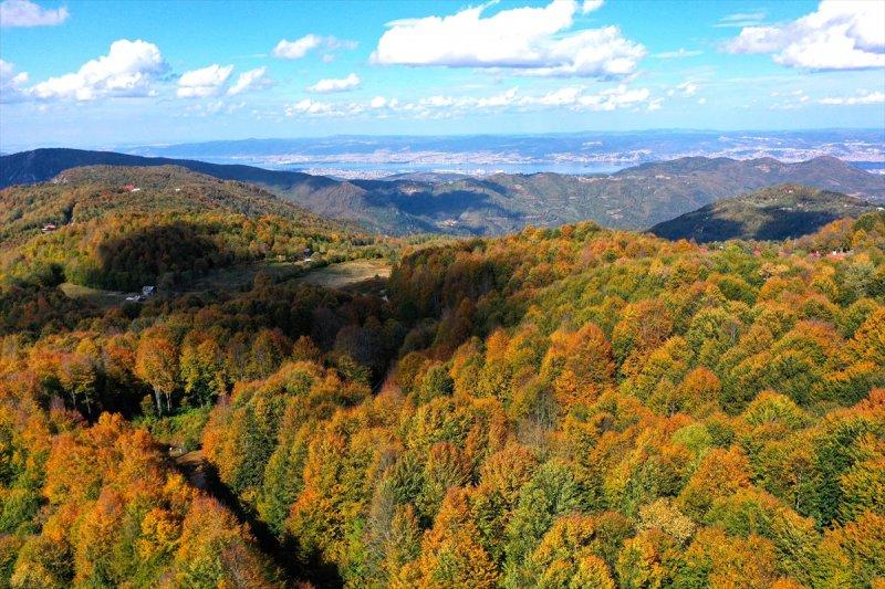 Kocaeli'de sonbahar renkleri