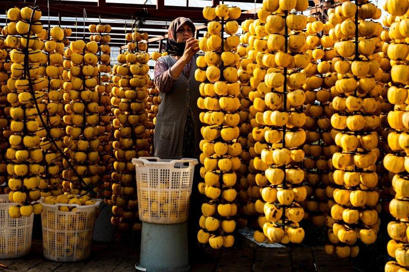 Cennet elmaları kurutularak bir mahalleyi geçindiriyor