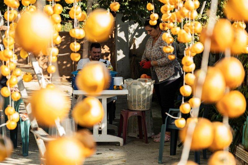 Cennet elmaları kurutularak bir mahalleyi geçindiriyor