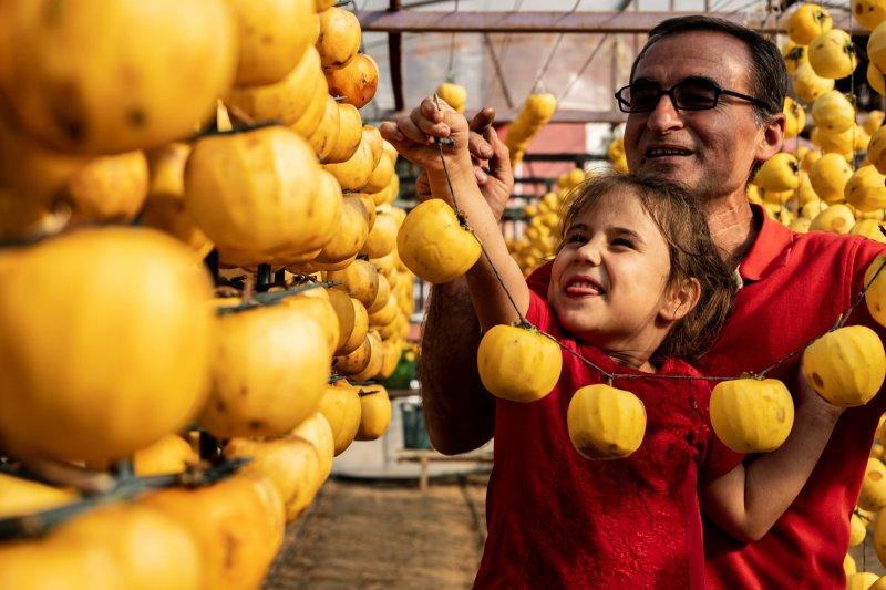 Cennet elmaları kurutularak bir mahalleyi geçindiriyor