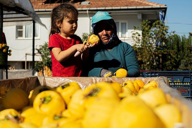 Cennet elmaları kurutularak bir mahalleyi geçindiriyor