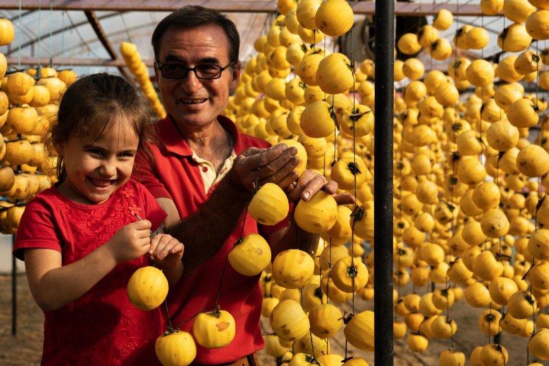 Cennet elmaları kurutularak bir mahalleyi geçindiriyor