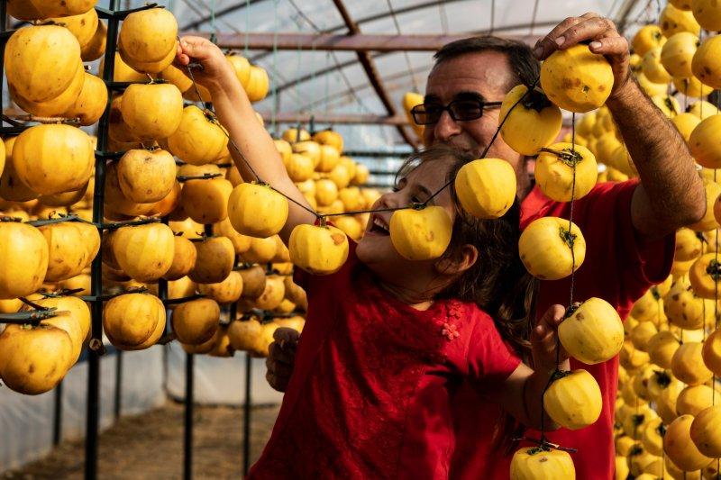 Cennet elmaları kurutularak bir mahalleyi geçindiriyor