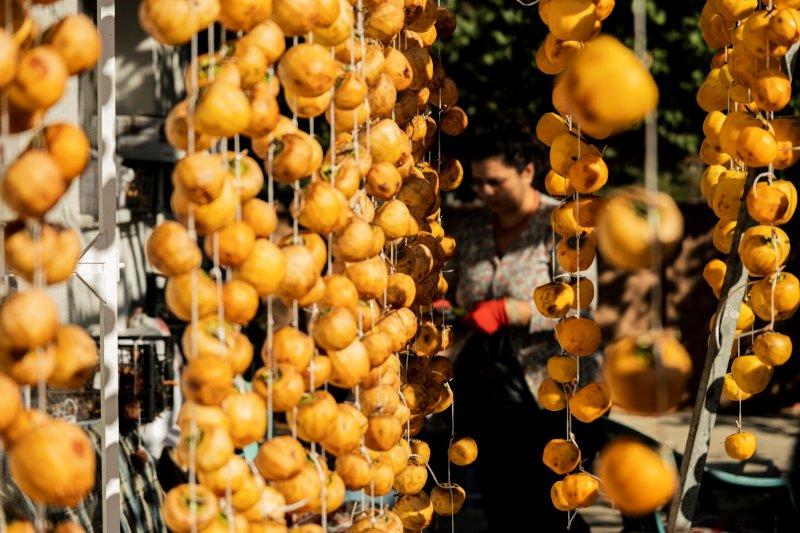 Cennet elmaları kurutularak bir mahalleyi geçindiriyor