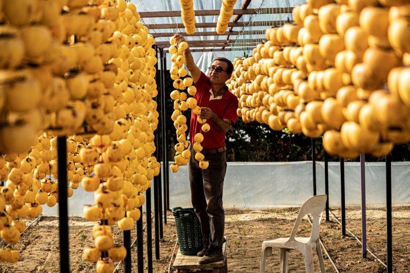 Cennet elmaları kurutularak bir mahalleyi geçindiriyor