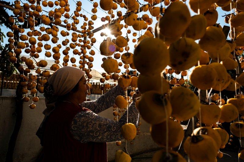 Cennet elmaları kurutularak bir mahalleyi geçindiriyor