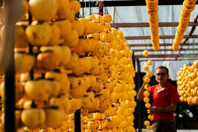 Cennet elmaları kurutularak bir mahalleyi geçindiriyor