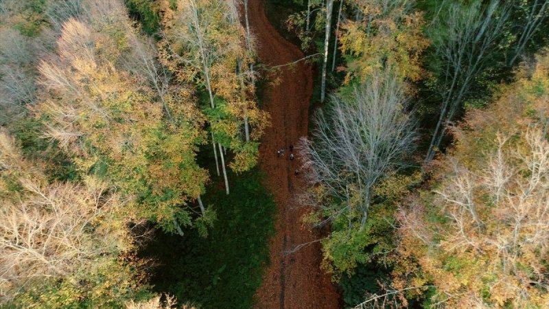 Düzce'de sonbahar şöleni