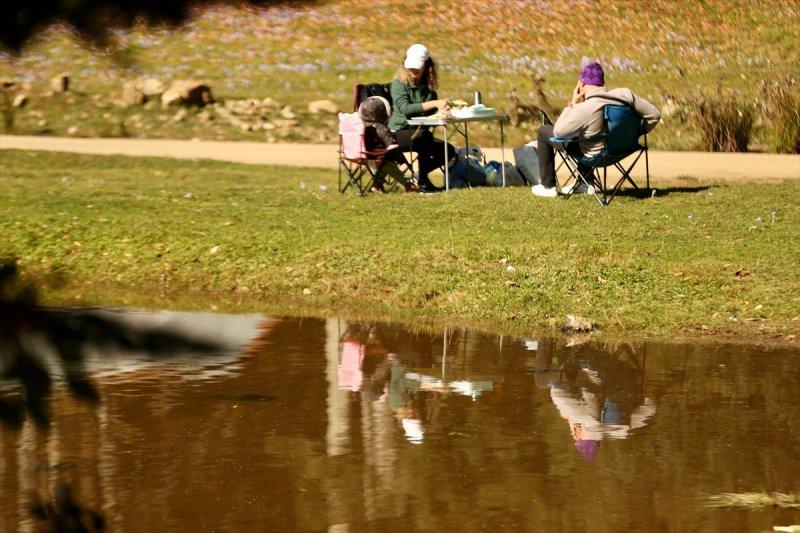 Düzce'de sonbahar şöleni