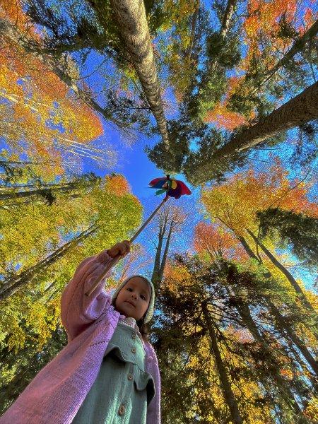 Düzce'de sonbahar şöleni