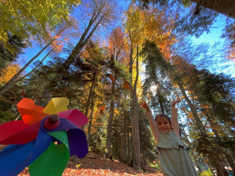 Düzce'de sonbahar şöleni