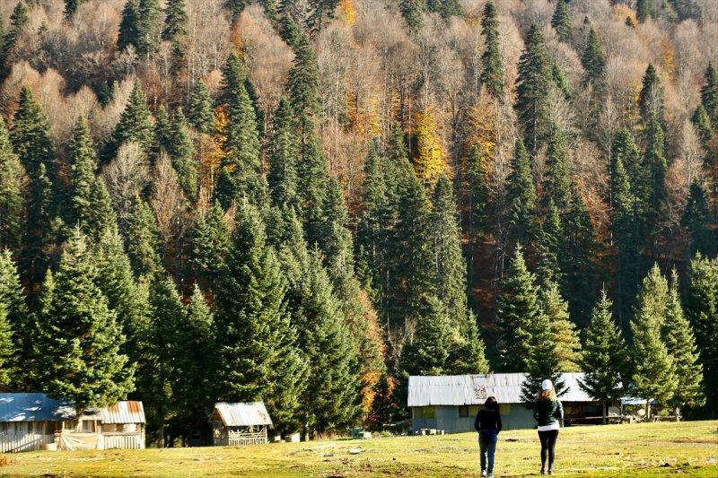 Düzce'de sonbahar şöleni