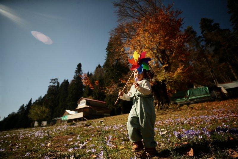 Düzce'de sonbahar şöleni