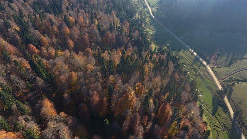 Düzce'de sonbahar şöleni