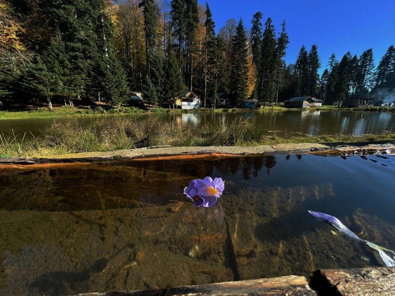 Düzce'de sonbahar şöleni
