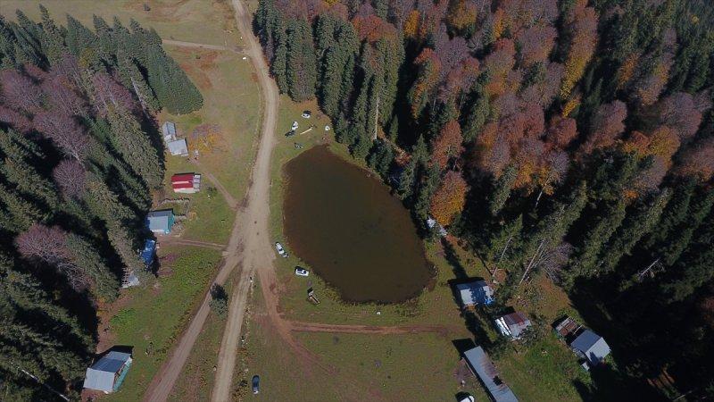 Düzce'de sonbahar şöleni