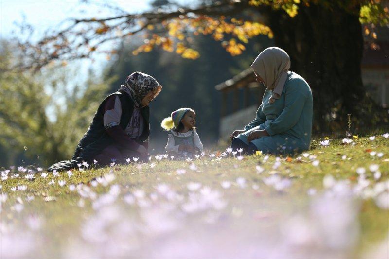 Düzce'de sonbahar şöleni