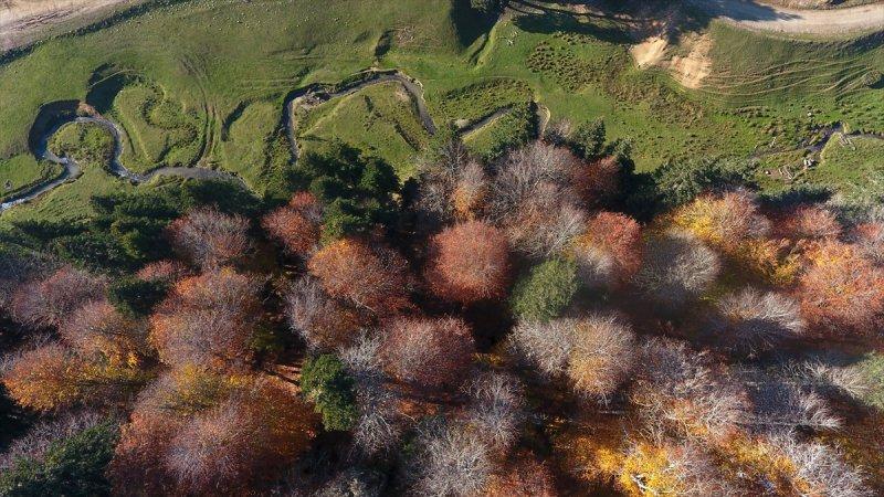 Düzce'de sonbahar şöleni
