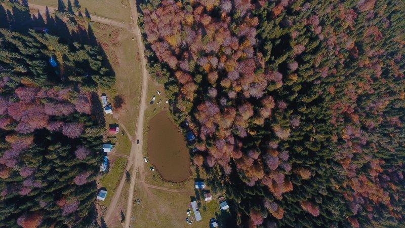 Düzce'de sonbahar şöleni