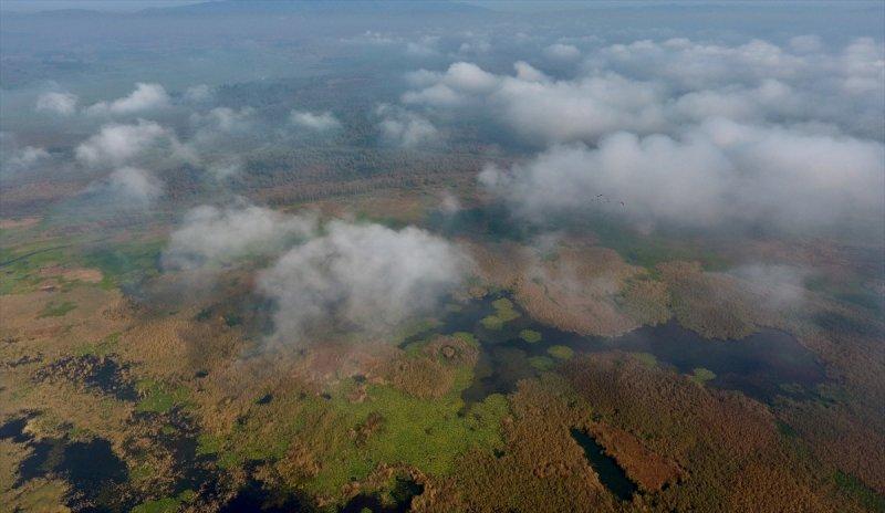 Düzce'de sonbahar şöleni