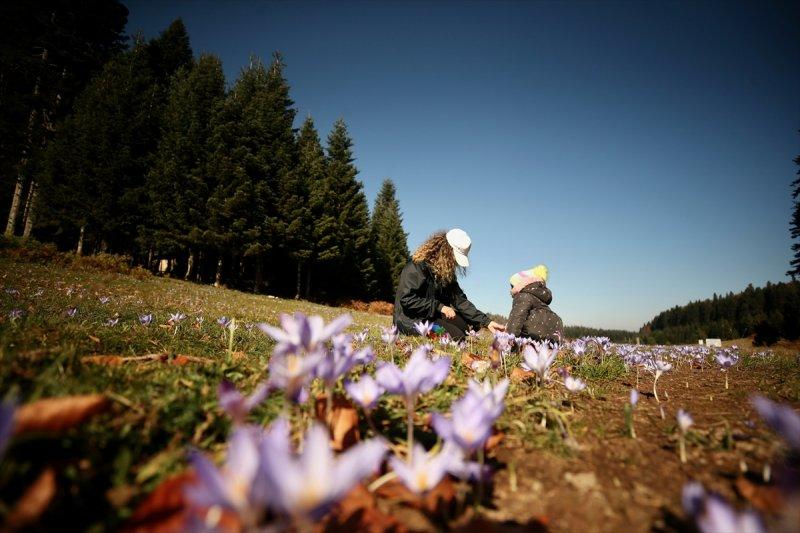 Düzce'de sonbahar şöleni
