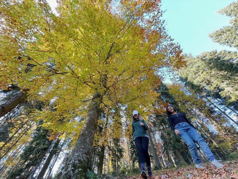 Düzce'de sonbahar şöleni
