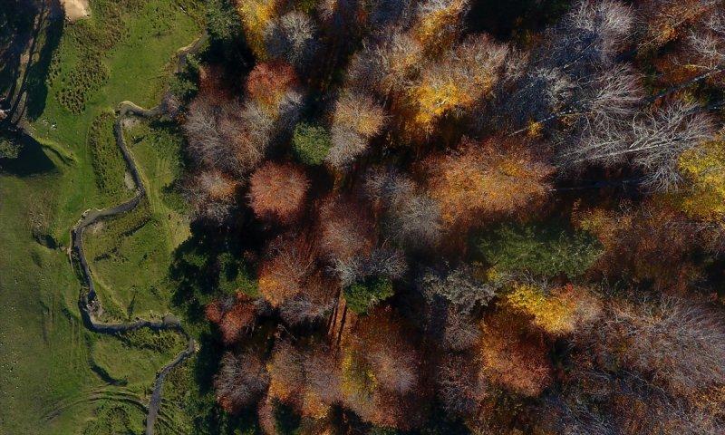 Düzce'de sonbahar şöleni