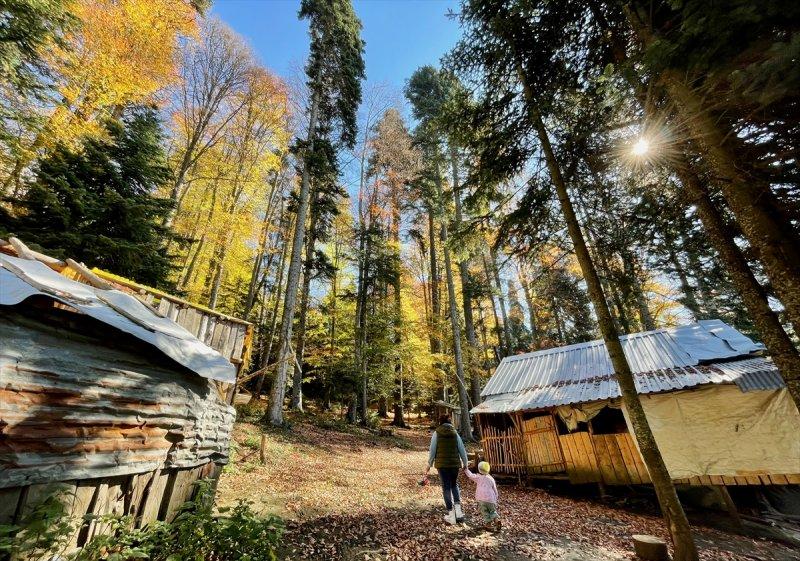 Düzce'de sonbahar şöleni