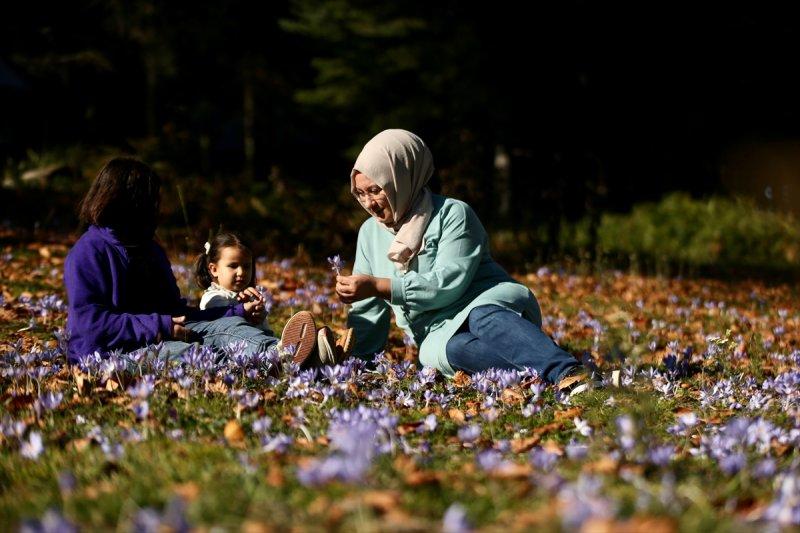Düzce'de sonbahar şöleni