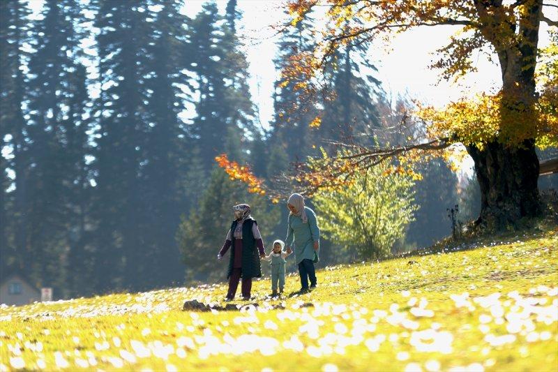Düzce'de sonbahar şöleni