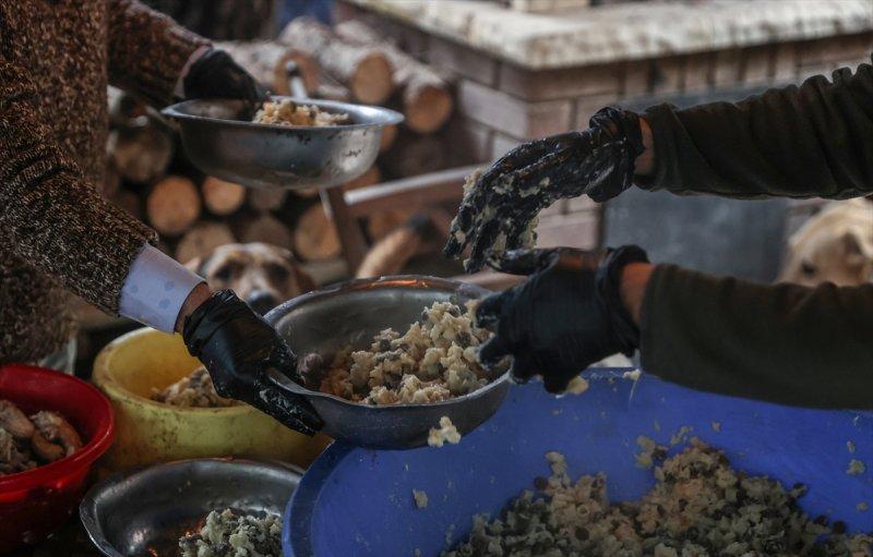 Sokaktan kurtardığı onlarca hayvan için İstanbul'dan köye taşındı