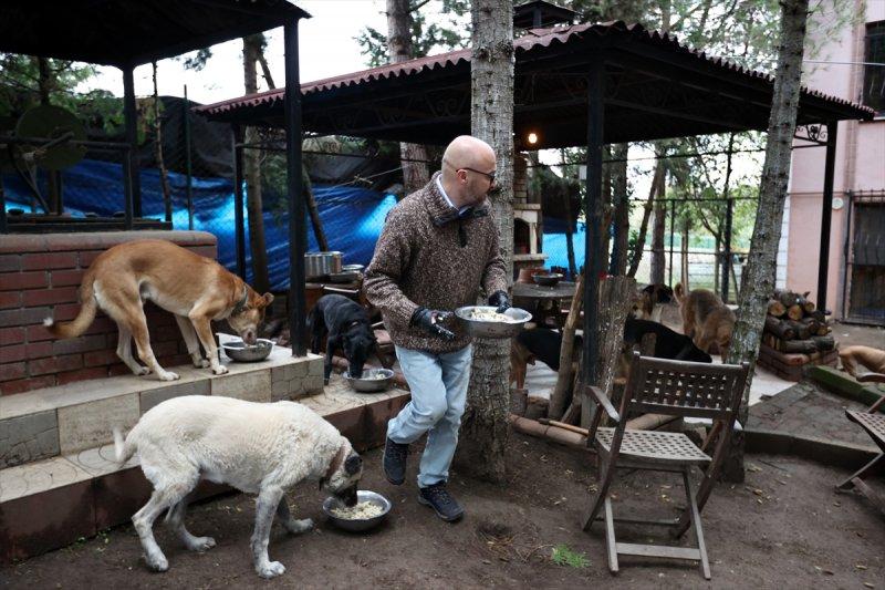 Sokaktan kurtardığı onlarca hayvan için İstanbul'dan köye taşındı