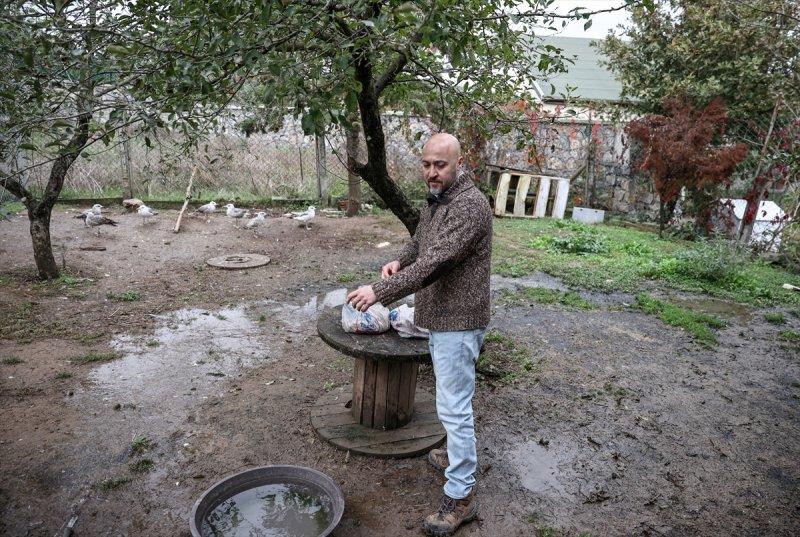 Sokaktan kurtardığı onlarca hayvan için İstanbul'dan köye taşındı