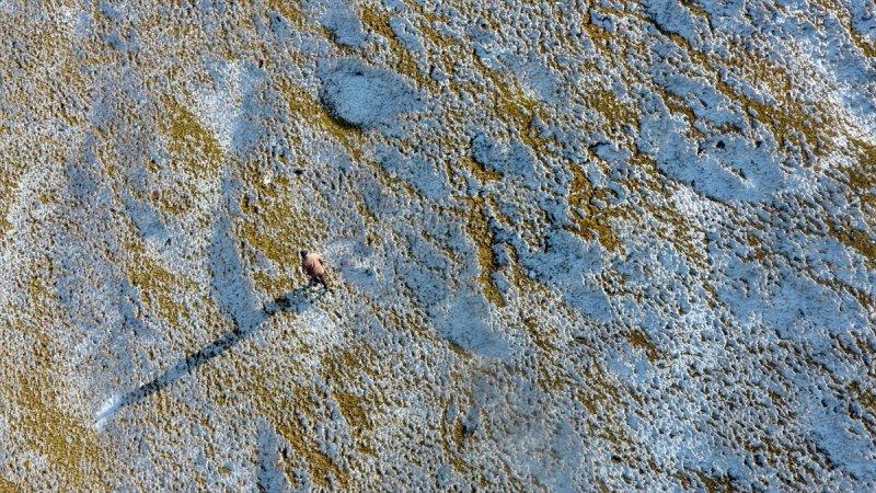 Düzce'de 1830 rakımlı Kardüz Yaylası'na kar yağdı