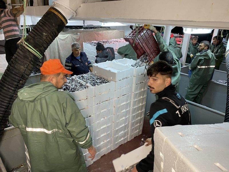 Karadeniz'den kasa kasa hamsi çıktı