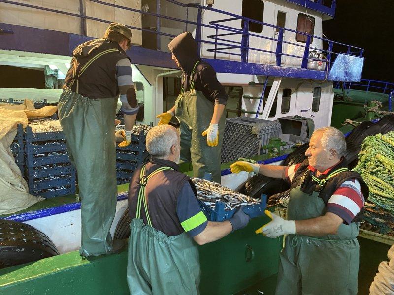 Karadeniz'den kasa kasa hamsi çıktı