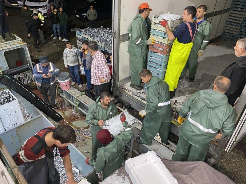 Karadeniz'den kasa kasa hamsi çıktı