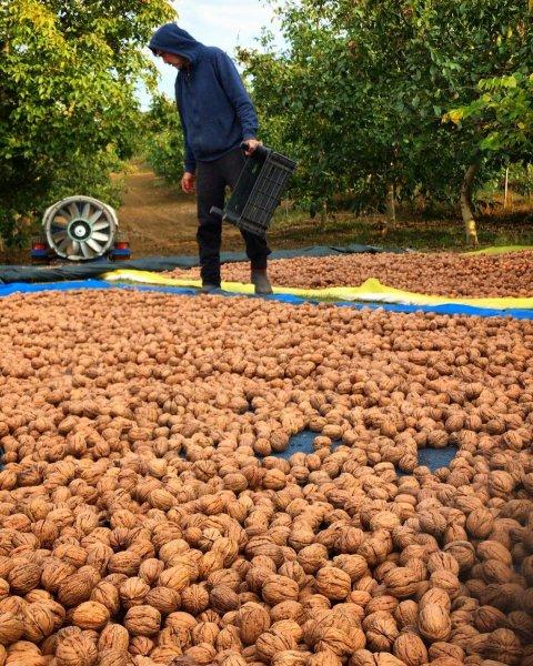 Köy hayatını seçen ünlüler 